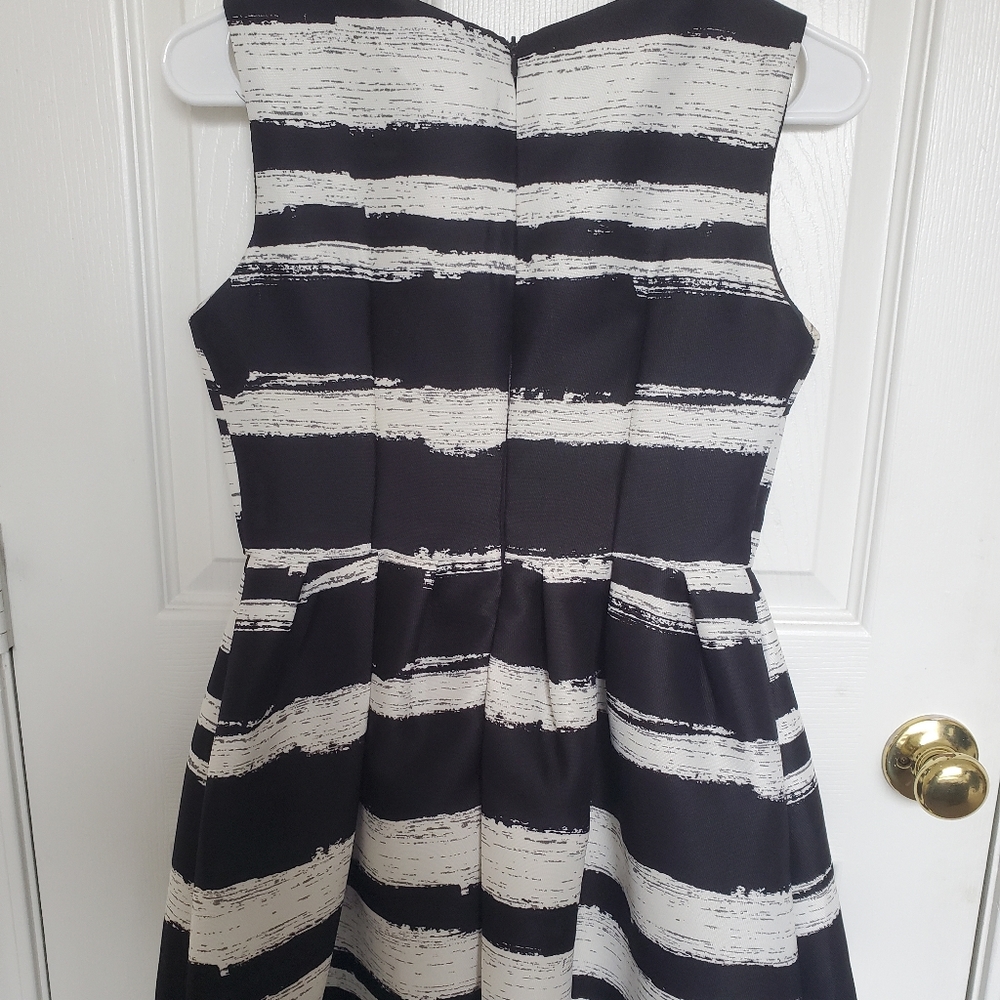 Black and White A-Line Dress - Picture 5 of 5